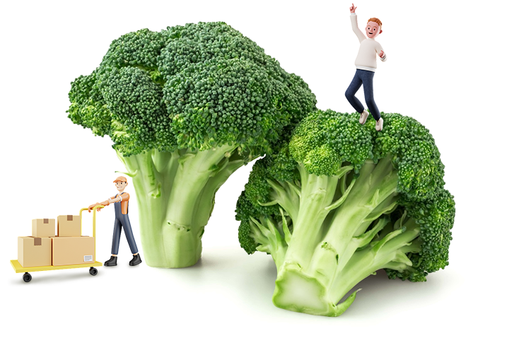 Юяо Гуманкан Фуд Ко., Лтд.